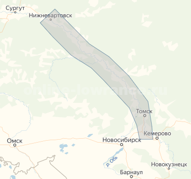 Карта глубин C-Map RS-Y524 Обь и Томь: Томск-Нижневартовск.